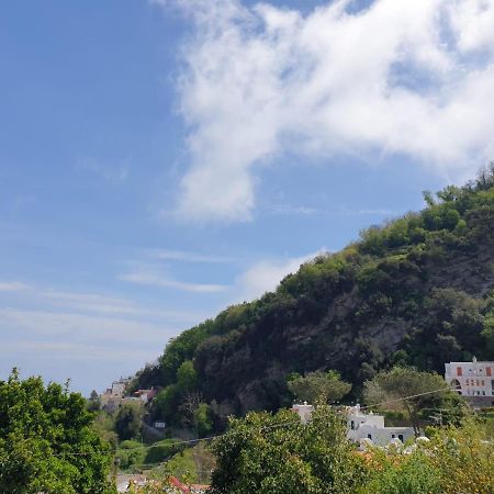 Sweet Home La Chicca Ischia Eksteriør billede