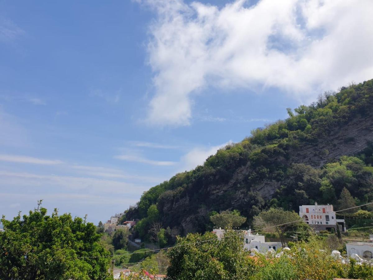 Sweet Home La Chicca Ischia Eksteriør billede