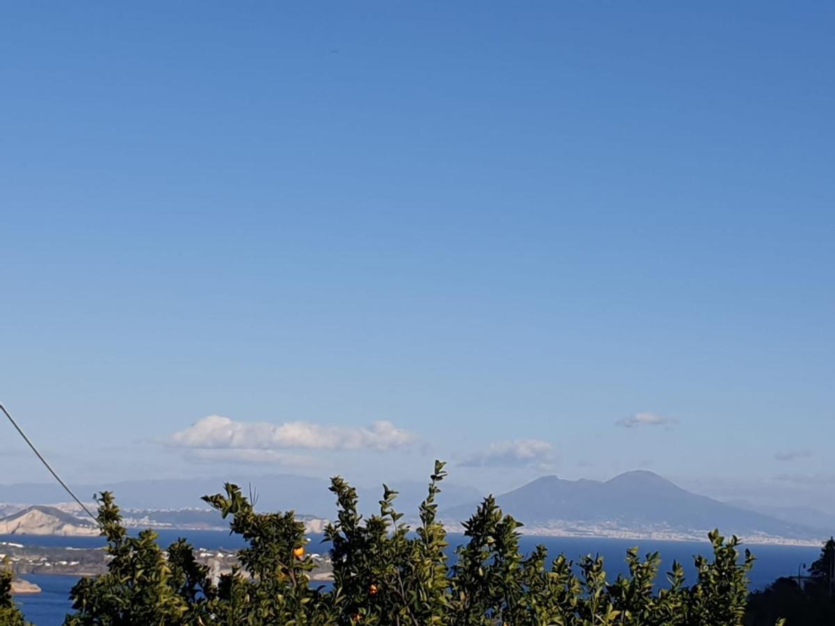 Sweet Home La Chicca Ischia Eksteriør billede
